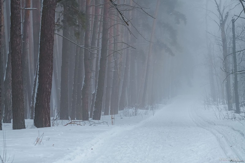 Фото сделанное пользователем nomen