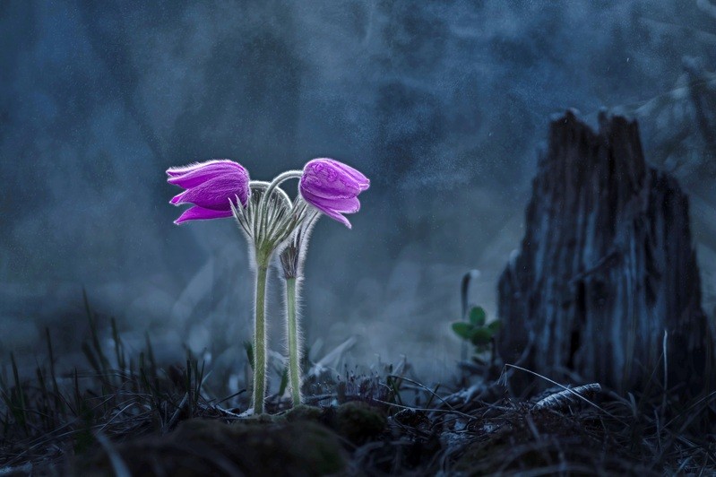 Фото сделанное пользователем Semenko