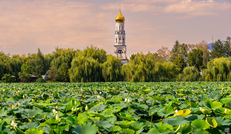 Фото сделанное пользователем Mr.DiM