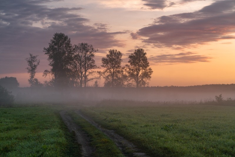 Фото сделанное пользователем S L