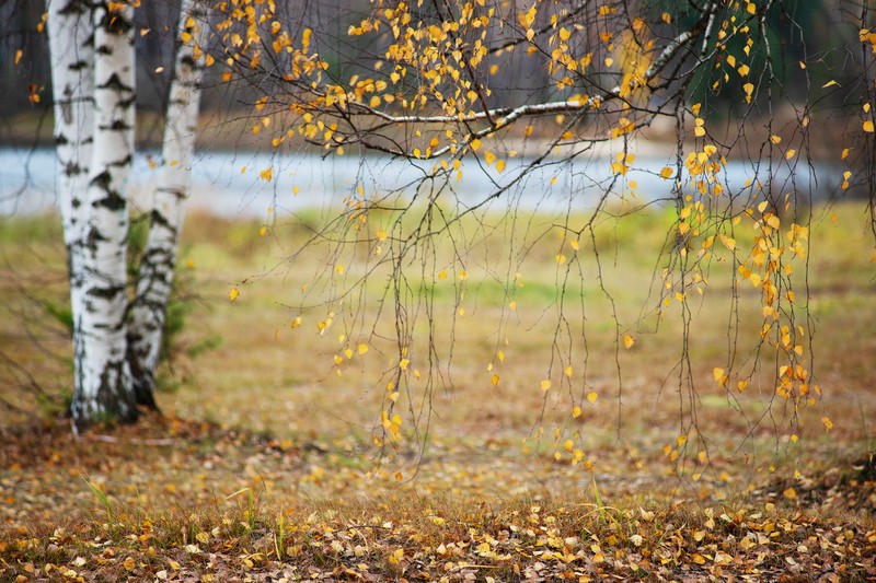 Фото сделанное пользователем Nick79b