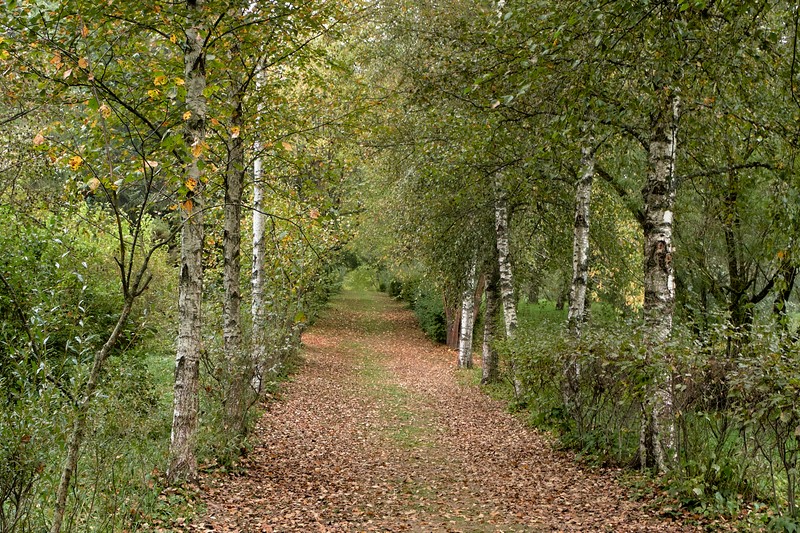 Фото сделанное пользователем Alikbars