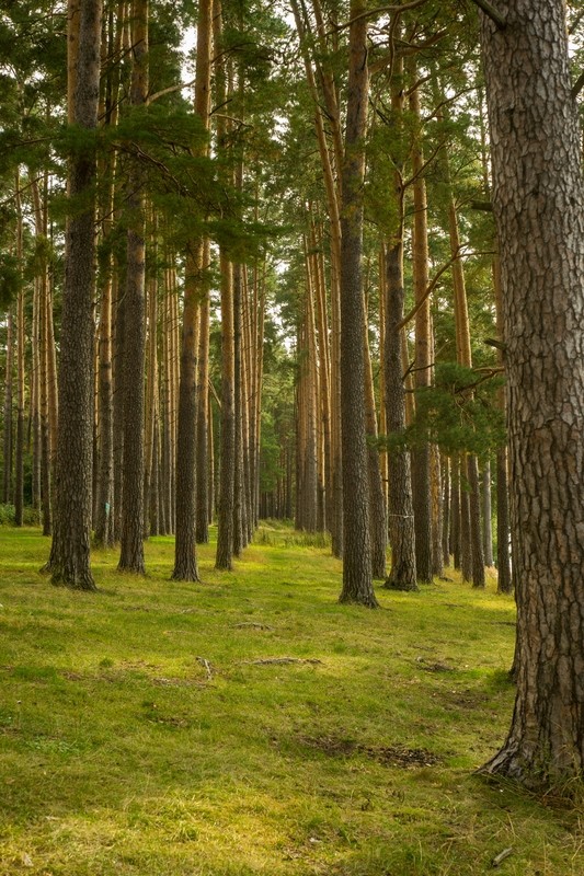 Фото сделанное пользователем Giniats