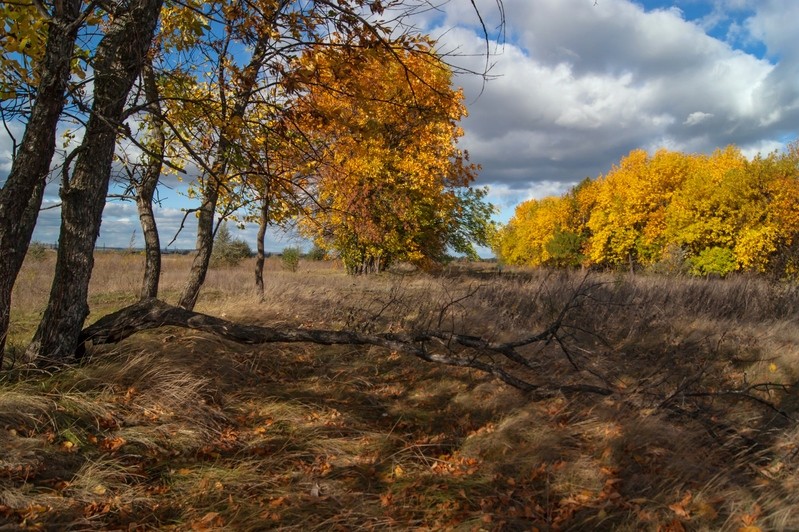 Фото сделанное пользователем Андре Номан