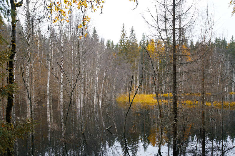 Фото сделанное пользователем romelenium