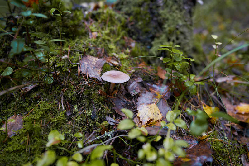 Фото сделанное пользователем romelenium