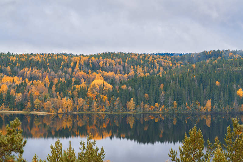 Фото сделанное пользователем romelenium