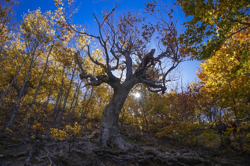 Фото сделанное пользователем Pompx