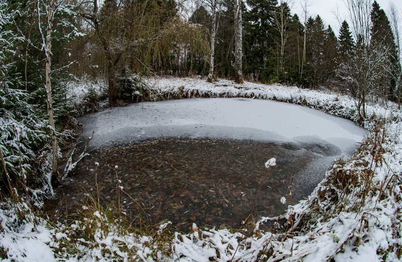 Фото сделанное пользователем KotoPalych