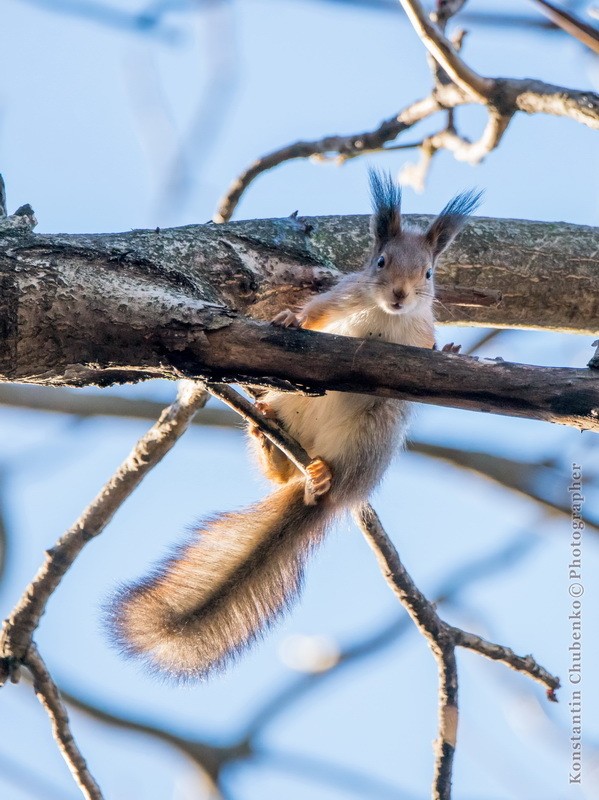 Фото сделанное пользователем KotoPalych