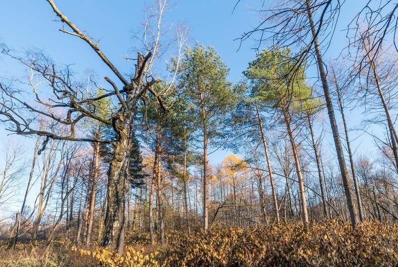 Фото сделанное пользователем KotoPalych