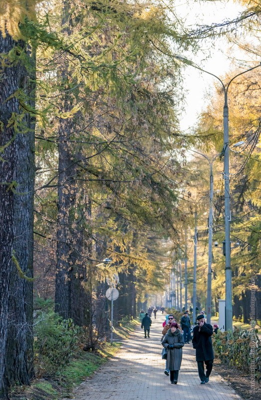 Фото сделанное пользователем KotoPalych