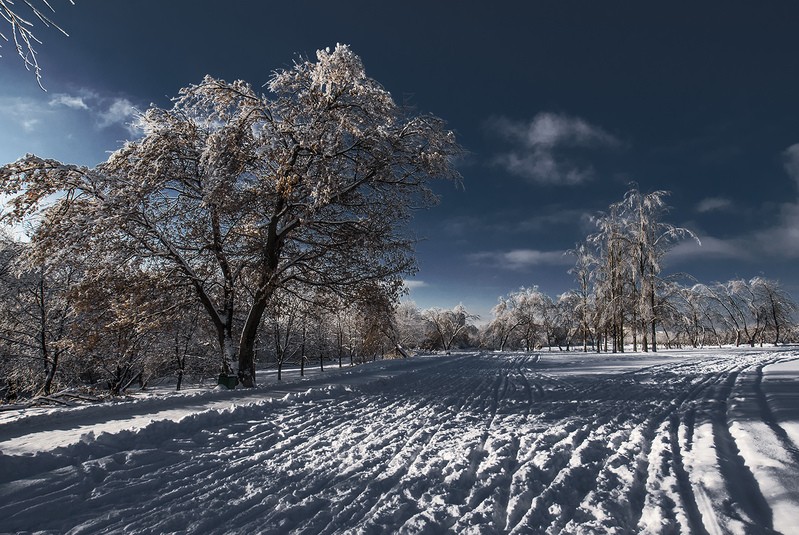 Фото сделанное пользователем contraspirit