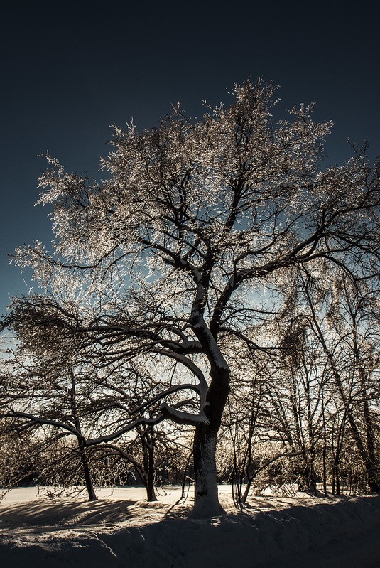 Фото сделанное пользователем contraspirit