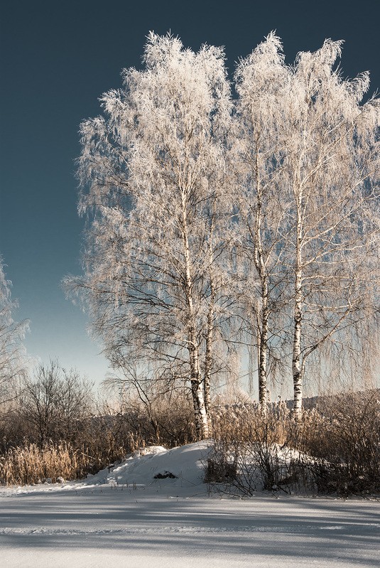 Фото сделанное пользователем contraspirit