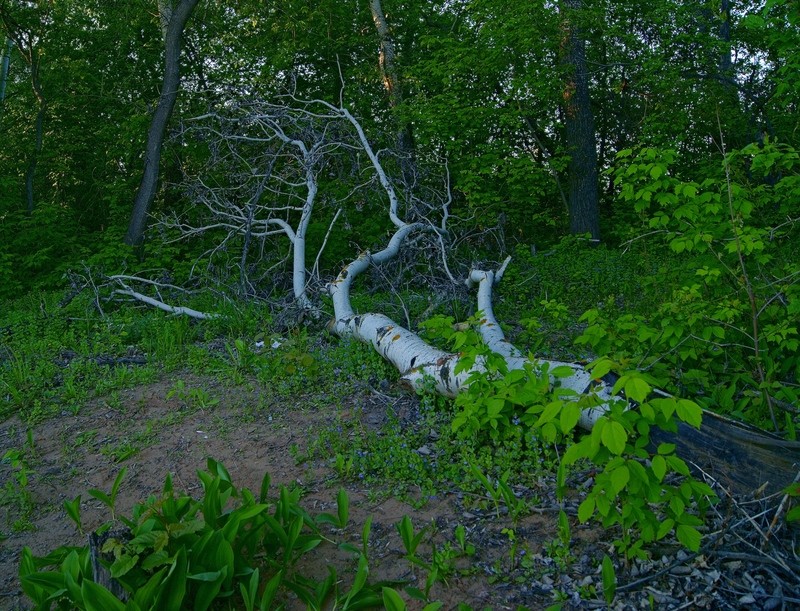 Фото сделанное пользователем Андре Номан