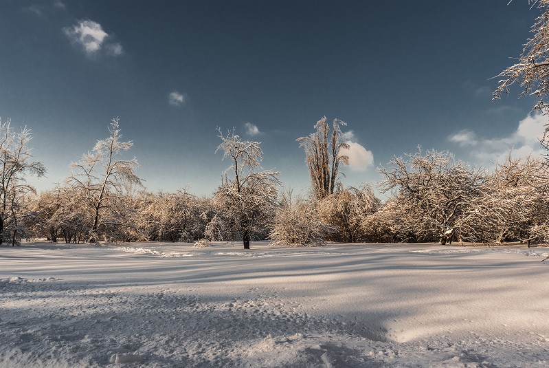 Фото сделанное пользователем contraspirit