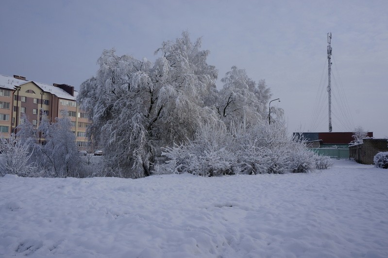 Фото сделанное пользователем yf22