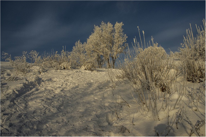 Фото сделанное пользователем GeraO