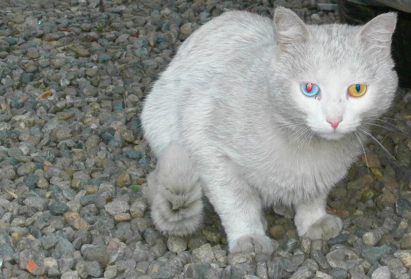 Фото сделанное пользователем Юрий Ник