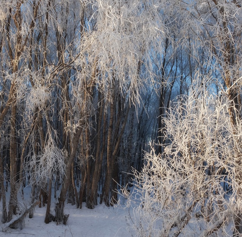 Фото сделанное пользователем delsena