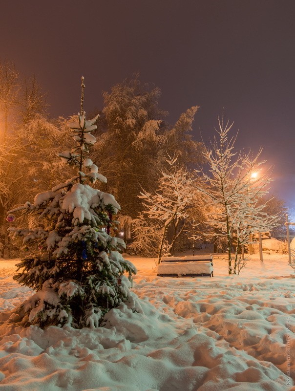 Фото сделанное пользователем KotoPalych