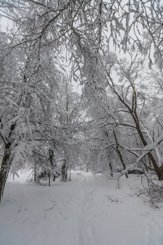 Фото сделанное пользователем KotoPalych