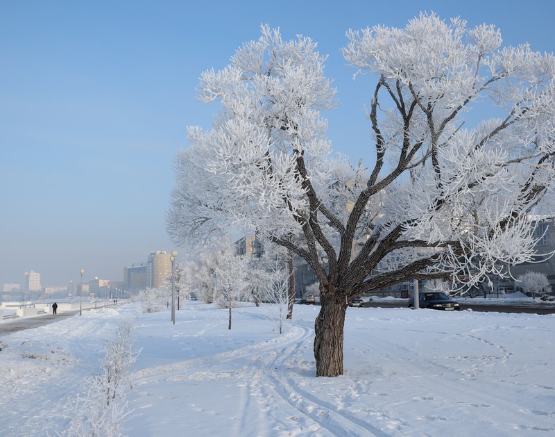 Фото сделанное пользователем delsena