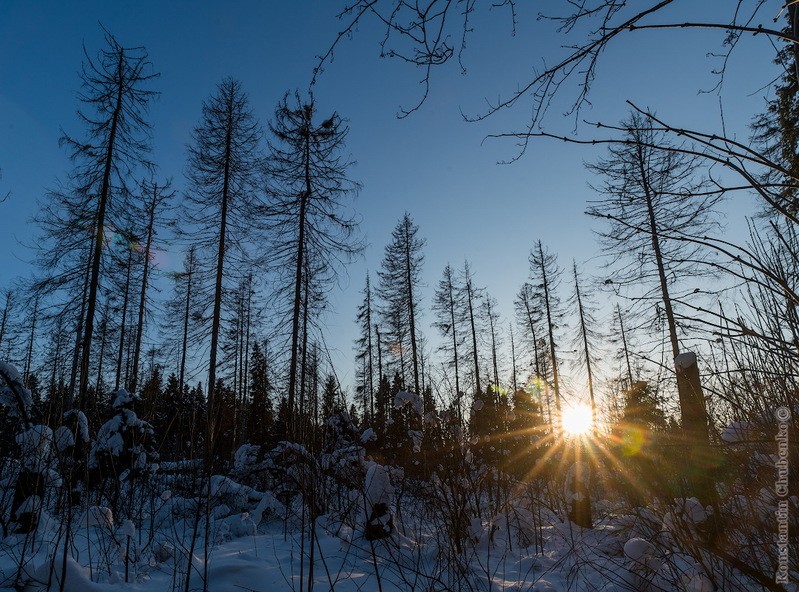 Фото сделанное пользователем KotoPalych