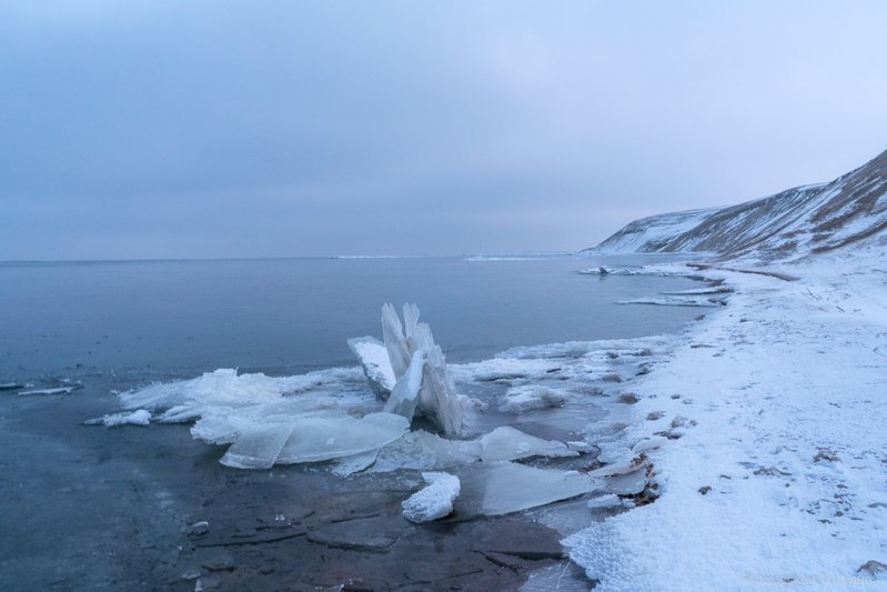 Фото сделанное пользователем haramu