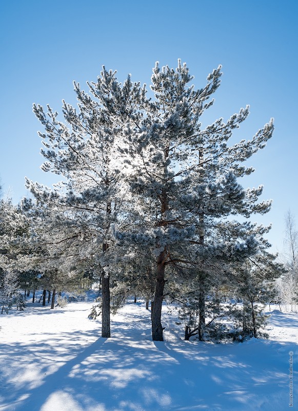 Фото сделанное пользователем KotoPalych