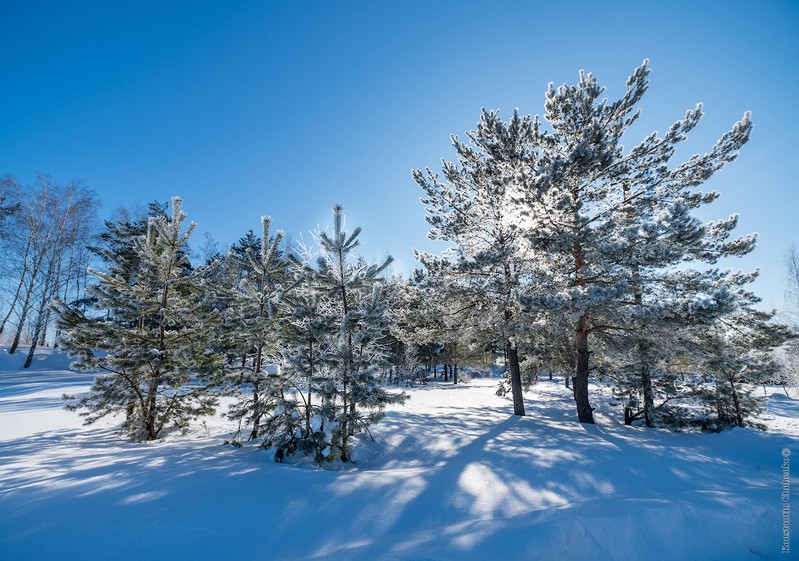 Фото сделанное пользователем KotoPalych