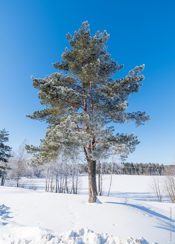 Фото сделанное пользователем KotoPalych