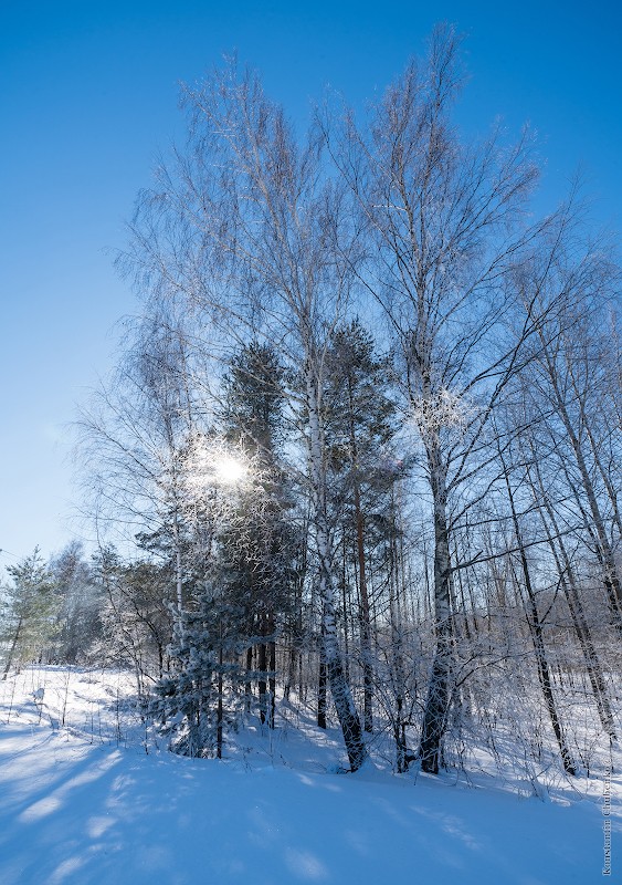 Фото сделанное пользователем KotoPalych