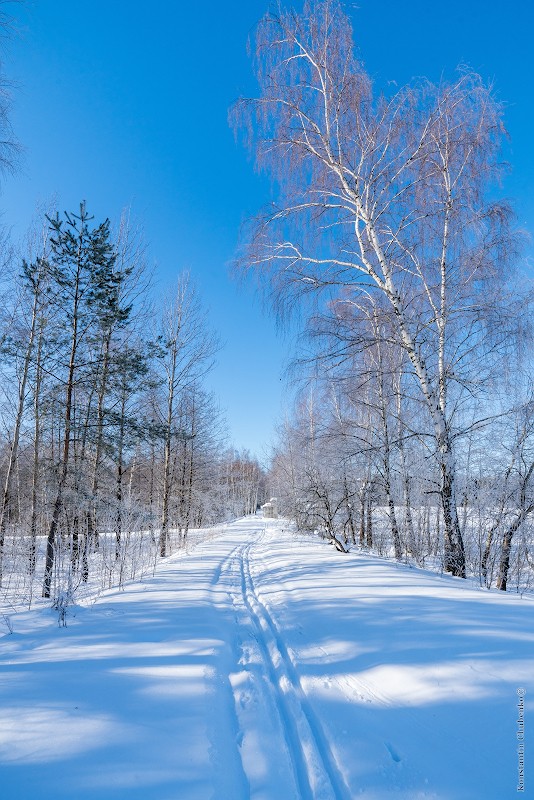 Фото сделанное пользователем KotoPalych