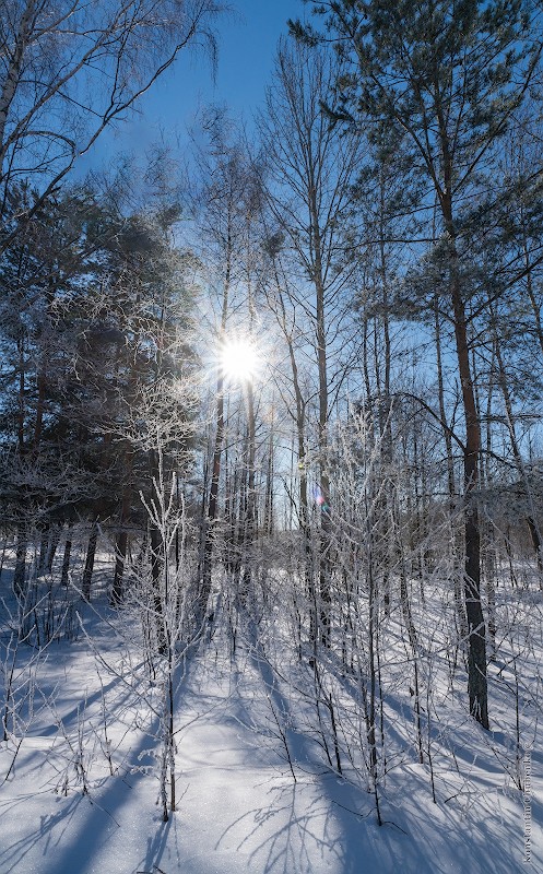 Фото сделанное пользователем KotoPalych