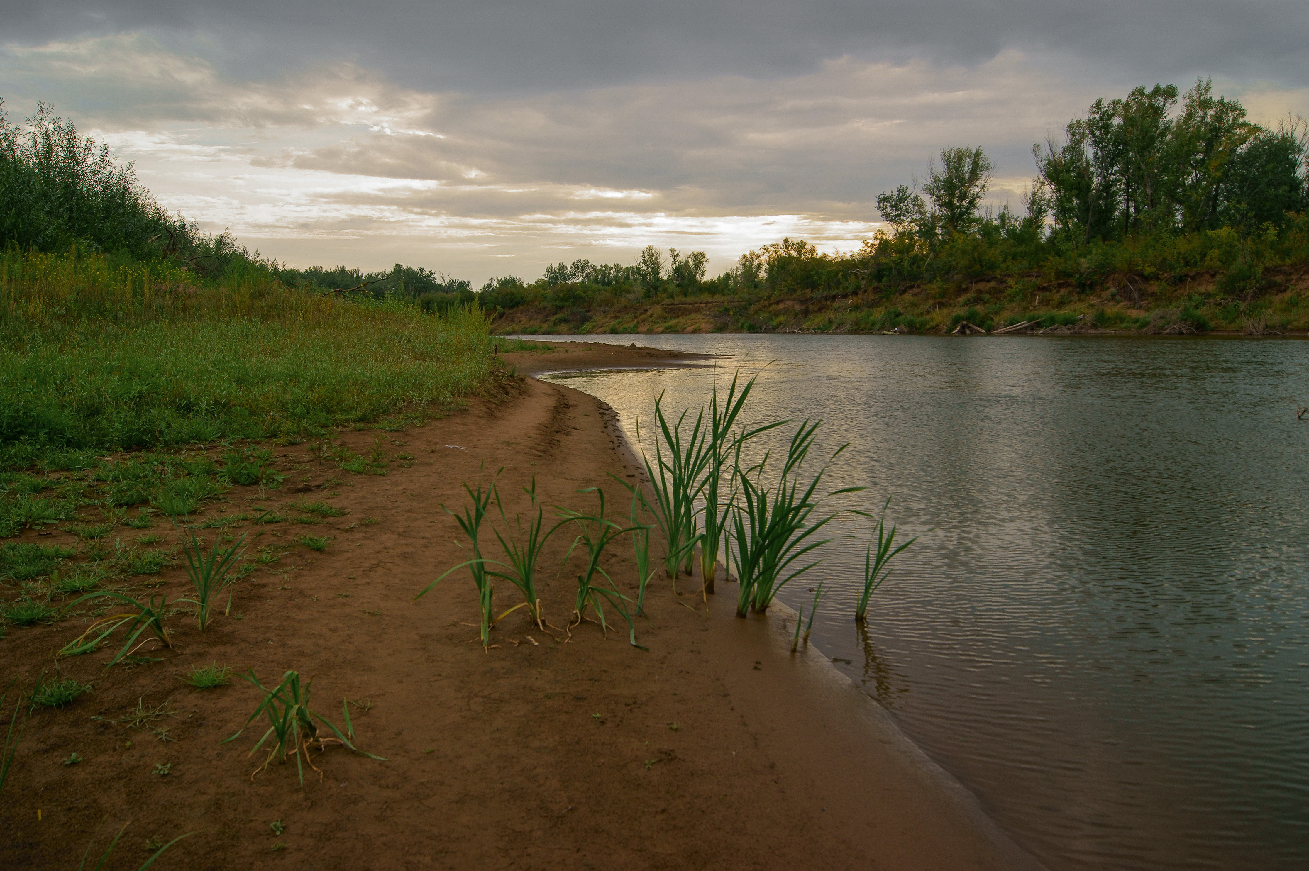 Река Герасим в Воронежской области